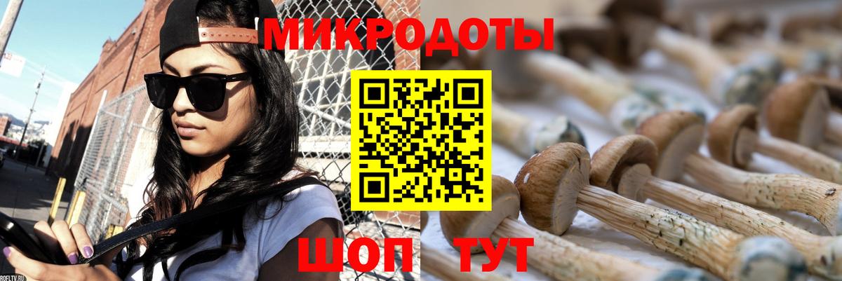 Тверь  Галлюциногенные грибы Magic Shrooms  Вход с VPN 